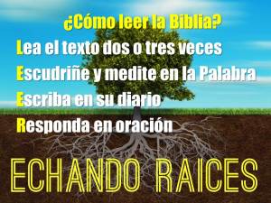 como leer la biblia