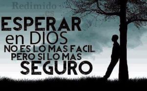 522991_434053153324471_1264930129_n