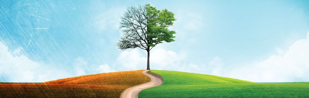 Escoge la sabiduría