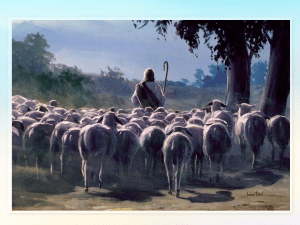 pastor de las ovejas