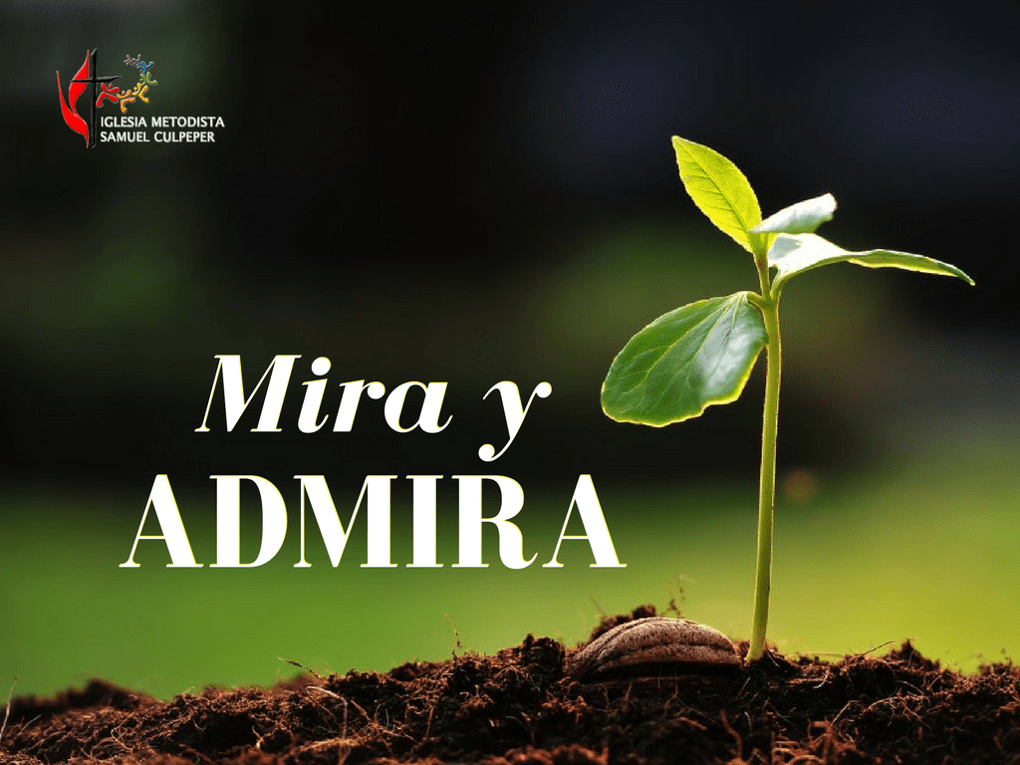 Mira y admira