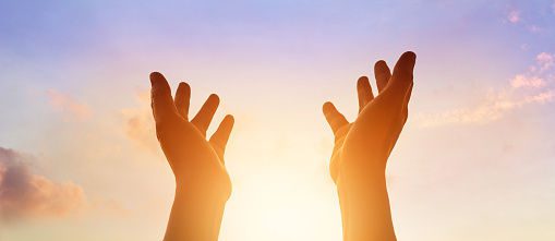 ¿Qué haría Jesús?