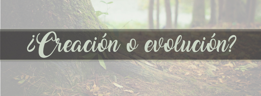 ¿Creación o evolución?