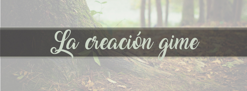La creación gime